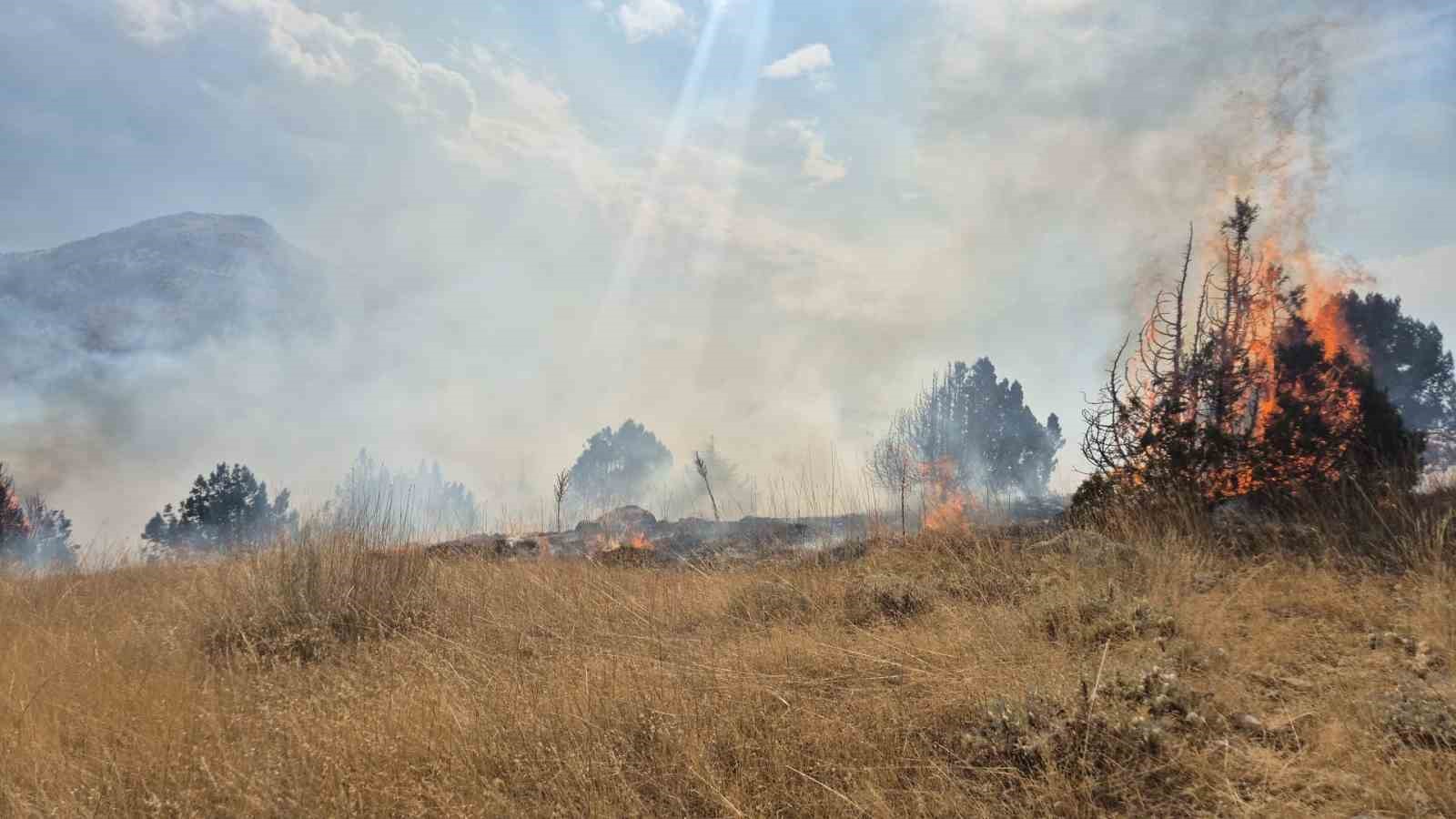 isparta-da-ormanlik-alanda-cikan-yangin-6-saatte-sonduruldu