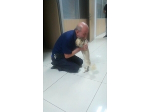 Köpeğine Böyle Kavuştu