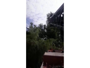 İtfaiyeden Karga Kurtarma Operasyonu