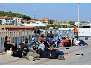 Çeşme’de 1 Günde 6 Operasyonda 127 Göçmen Yakalandı