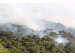 Bodrum’un Akciğerleri Yanıyor