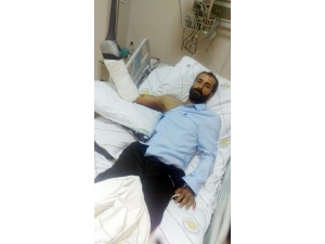 Yılanın Isırdığı Adam Yoğun Bakıma Alındı