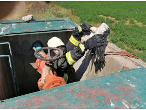 Sulama Kanalı Hidrantında Mahsur Kalan Leyleği İtfaiye Kurtardı