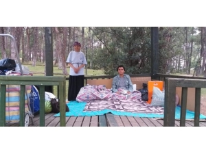 Parktaki Çardak Anne Ve Oğluna Ev Oldu