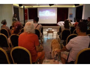 Mahayko’dan Kamu Spotu