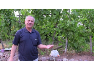 Emekli Öğretmen Kalker Kayalarını Tarım Kirecine Dönüştürdü, Taleplere Yetişemiyor