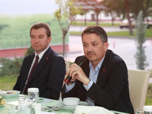 Çam Fıstığının Rekolte Düşüklüğü Bakan Pakdemirli’nin Masasında