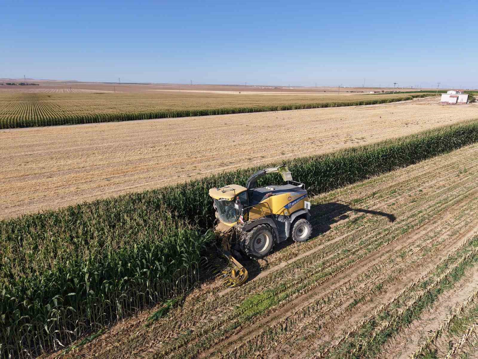 konya-nin-karapinar-ilcesinde-silajlik-misir-hasadi-basladi