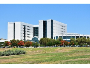 İltihaplı Eklem Romatizması: Romatoid Artrit