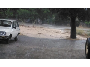 Denizli’nin Acıpayam İlçesinde Yola Devrilen Ağaç Trafiği 20 Dakika Durdurdu