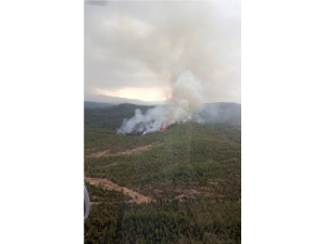Köyceğiz’de Orman Yangını