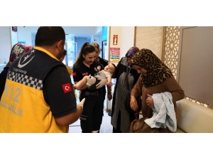 Aksaray’da Ağaç Devrildi: 2 Yaralı