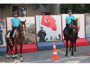 Harput Atlı Jandarmaya Emanet