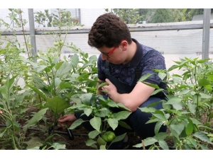 Özel Öğrenciler Kendi Ektikleri Sebzeler İle Yemek Yaptı