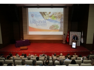 Tokat’ta Kenevir Çalıştayı