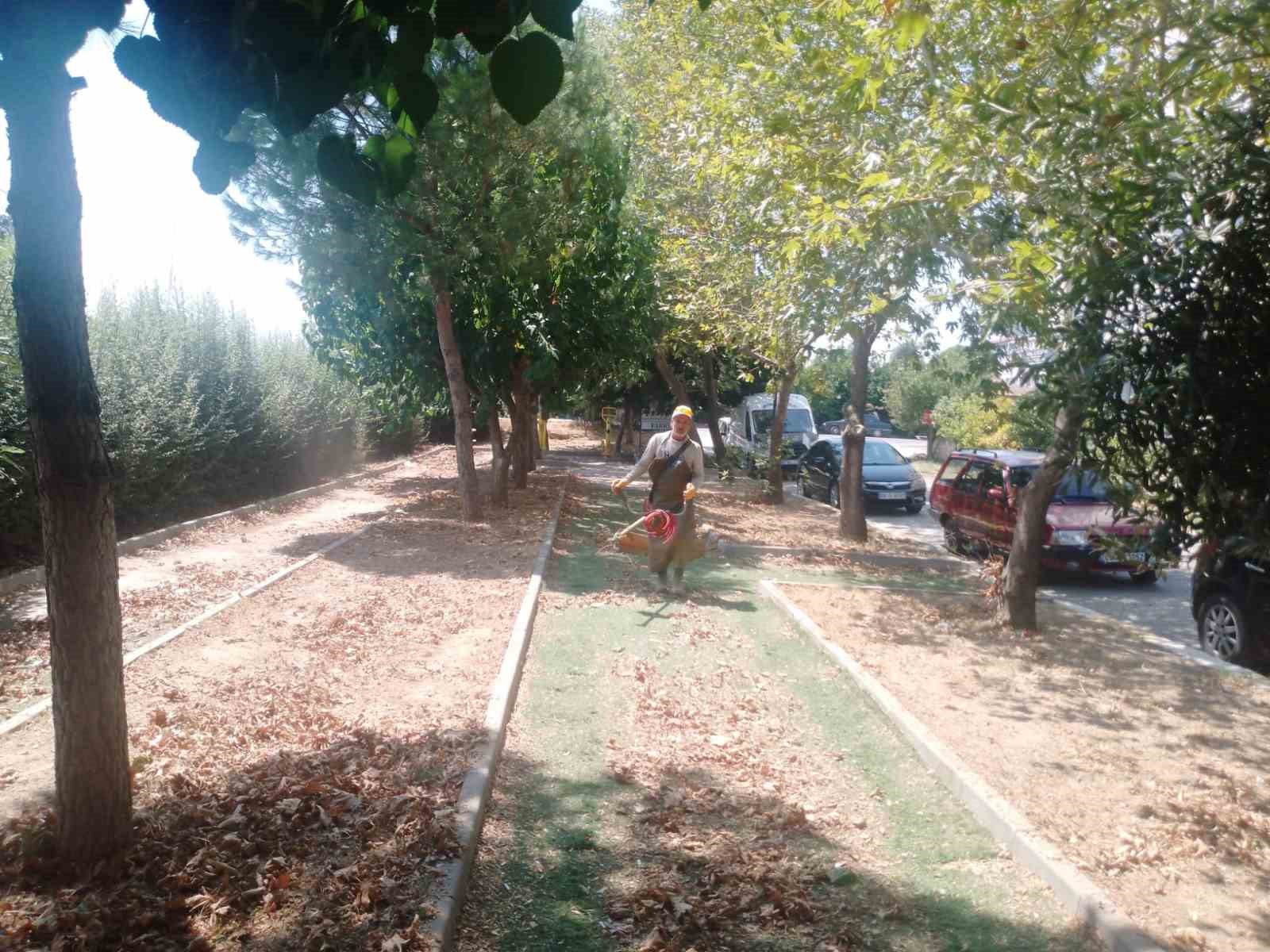 kosk-te-park-ve-yesil-alanlarda-bakim-calismalari-suruyor