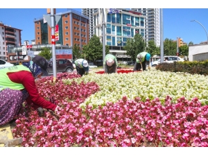 Elazığ’da 400 Bin Çiçek Toprakla Buluştu
