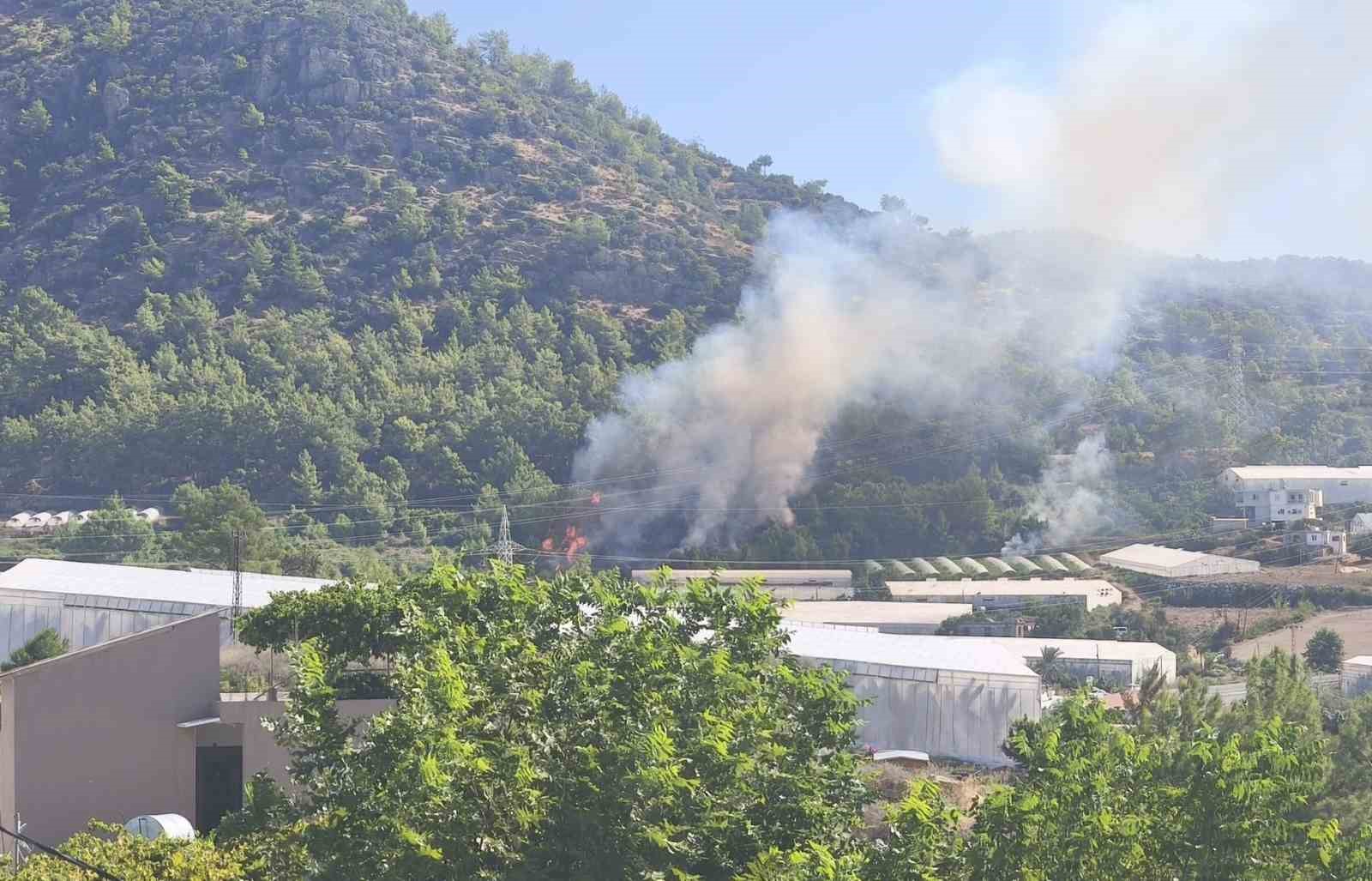 bozyazi-da-orman-yangini-buyumeden-sonduruldu