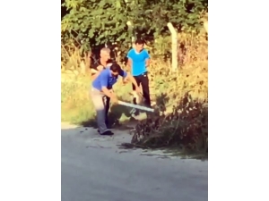 Köpeğe Dayağa 3 Bin 897 Tl Ceza