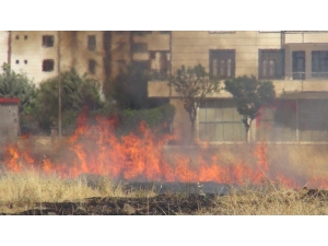 Diyarbakır’da Anız Ve Kurumuş Ot Yangınları Durdurulamıyor