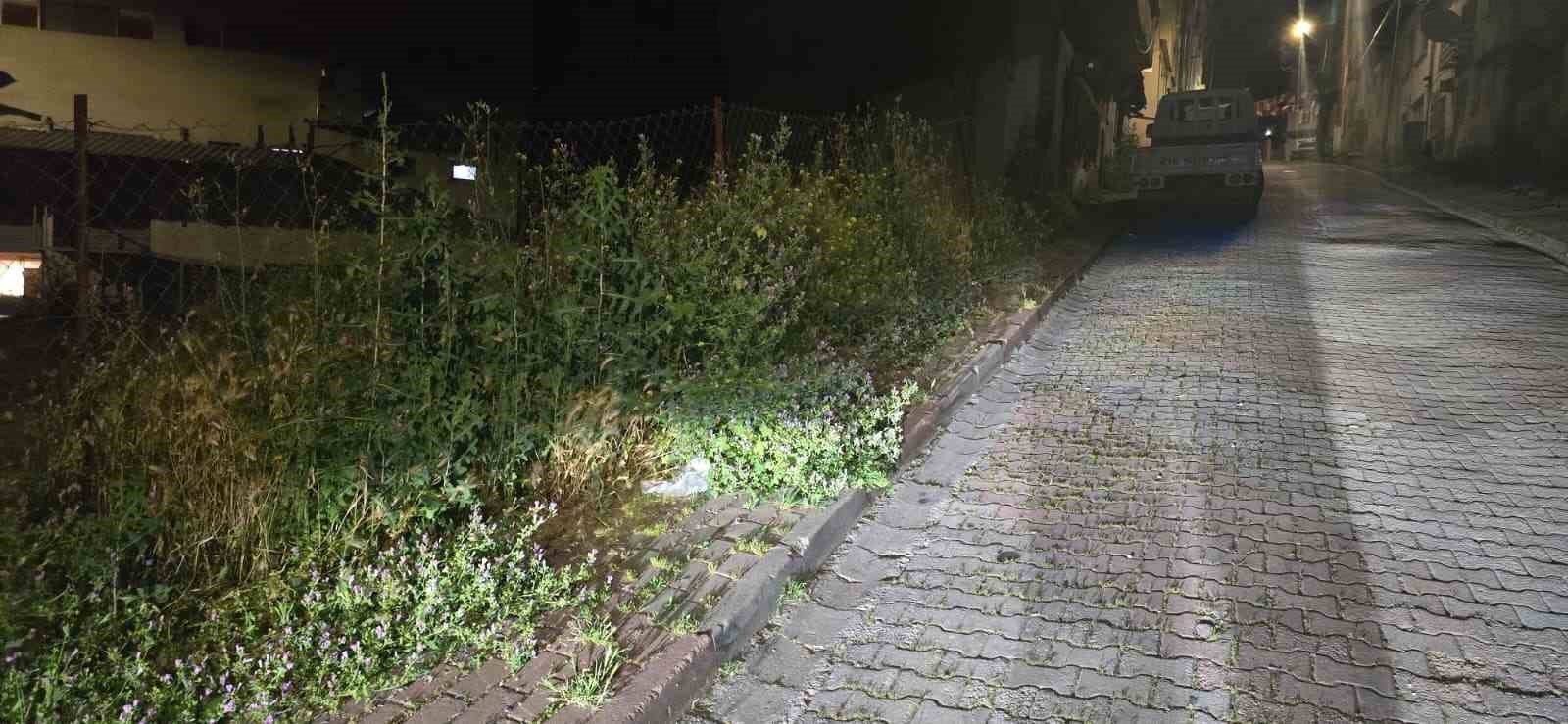 bilecik-te-vatandaslar-otlardan-kaldirimda-yuruyemiyor