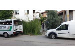 Denizli’de Cinayet