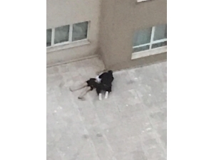 4. Kattan Düşen Sevgilisinin Başında Ağlayan Gence Tahliye