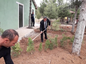 Altıntaş Mesire Alanında Ağaçlandırma Çalışmaları