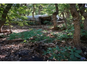 Pençe Harekatı’nda Teröristlere Büyük Darbe