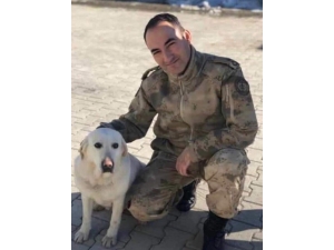 Samsun’a Şehit Ateşi Düştü