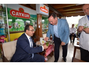 Bakan Yardımcısı Özkaldı, Çaykur Çay Satış Ve Tadım Mağazasını Açtı