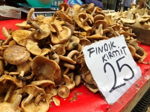 Fındık Mantarı Tezgahlarda