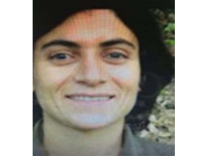 İçişleri Bakanlığı: "İç Güvenlik Operasyonları Kapsamında, 16 Temmuz 2019 Tarihinde Diyarbakır Kulp İlçesi Kırsalında İl Jandarma Komutanlığınca Gerçekleştirilen Operasyonda Etkisiz Hale Getirilen Terörist Sayısı 4’e Yü