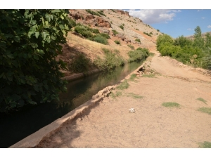 Sulama Kanalına Düşen 5 Yaşındaki Çocuk Hayatını Kaybetti