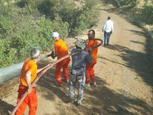 Yangın Ormanlık Alana Sıçramadan Söndürüldü