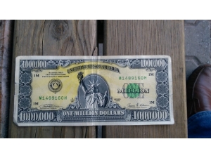 Uşak’ta ‘Amerikan Rüyası’nın Sembolü 1 Milyon Dolarlık Banknot Ele Geçirildi