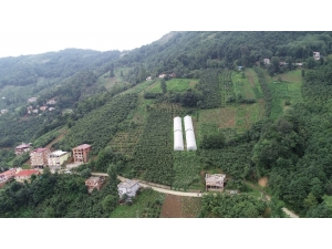 Karadeniz İnsanını Zorluklar Hiç Yıldırmıyor