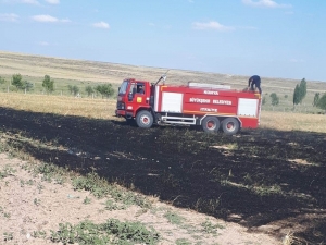 Çocuklar Anız Yaktı