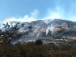 Alaçatı’da Makilik Yangını Ucuz Atlatıldı