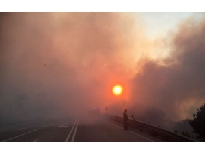 Portekiz’de Orman Yangınları: 8 Yaralı