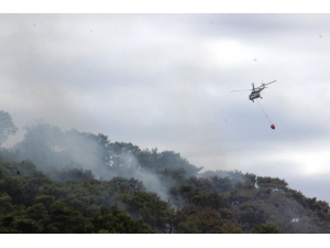 Aydın’daki Korkutan Yangın Kontrol Altına Alındı