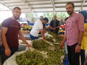 Yeni Ürün Yaş Fındık Tezgaha İndi