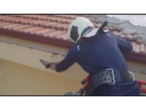 Ayağına İp Dolanınca Çatıda Mahsur Kalan Kuş Kurtarıldı