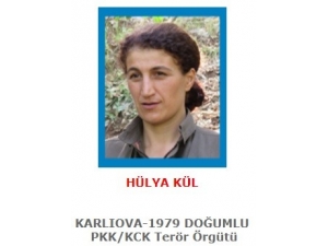 Bingöl’de 8 Terörist Etkisiz Hale Getirildi, 2’si Ödüllü Listede Çıktı