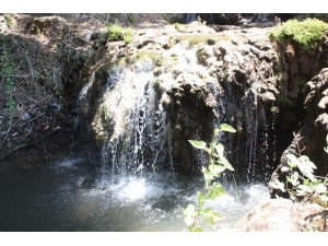 Mardin’in Doğa Harikası ’Yardere Şelalesi’