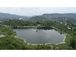 Başkanın Deniz Bisikleti Keyfi