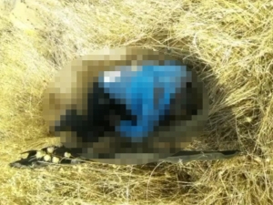 Şanlıurfa’da Trafik Kazası: 1 Ölü, 1 Yaralı