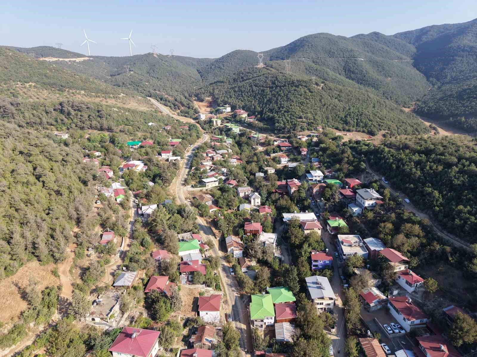 almanpinari-yaylasi-temiz-ve-serin-havasiyla-ziyaretcilerini-agirliyor