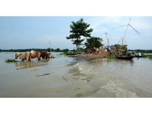 Güney Asya’daki Sel Felaketinde Ölü Sayısı 300’ü Aştı
