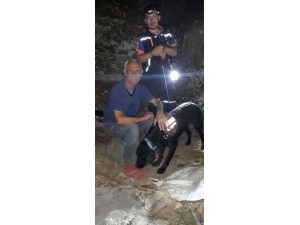 Derede Kaybolan Şahıs Bulundu